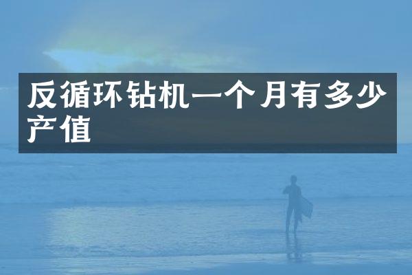 反循环钻机一个月有多少产值