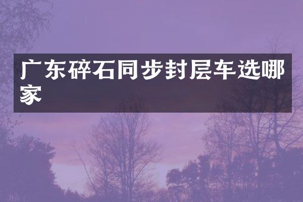 广东碎石同步封层车选哪家