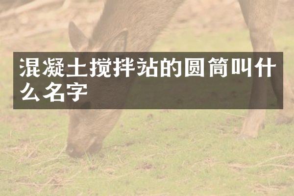 混凝土搅拌站的圆筒叫什么名字