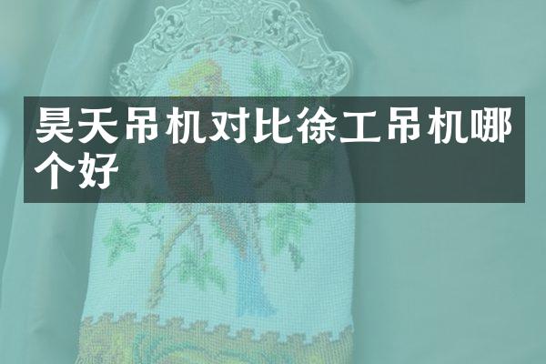 昊天吊机对比徐工吊机哪个好