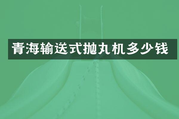 青海输送式抛丸机多少钱