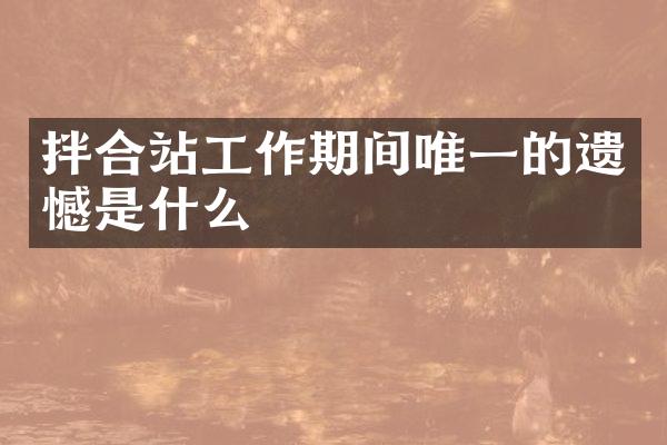 拌合站工作期间唯一的遗憾是什么