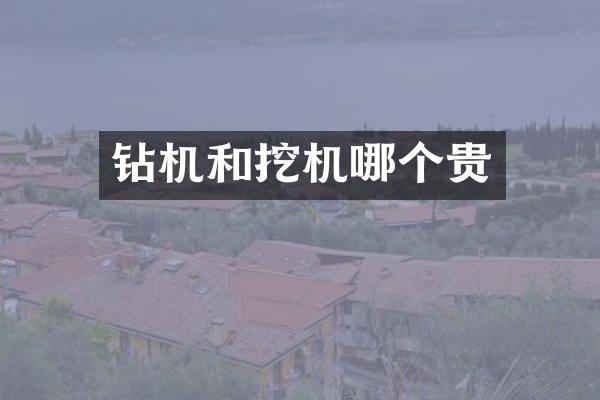钻机和挖机哪个贵
