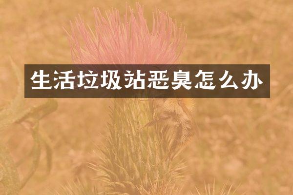 生活垃圾站恶臭怎么办