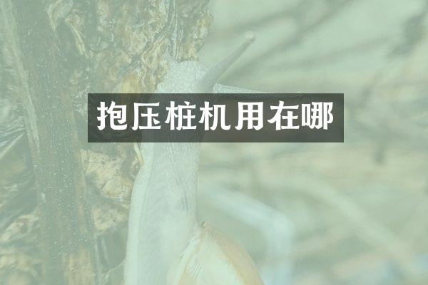 抱压桩机用在哪