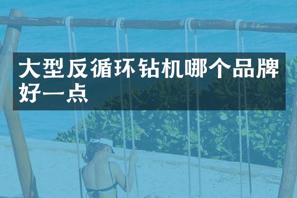 大型反循环钻机哪个品牌好一点