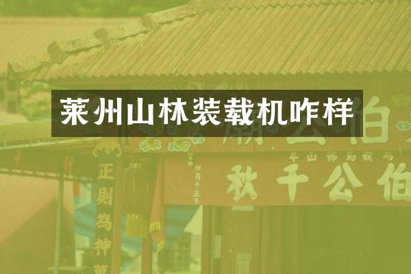 莱州山林装载机咋样