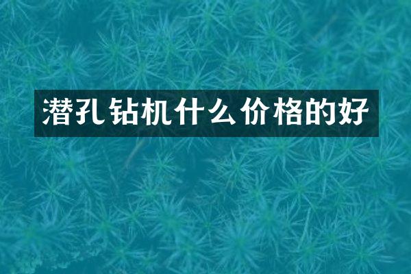潜孔钻机什么价格的好