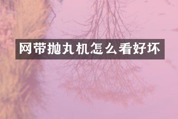 网带抛丸机怎么看好坏