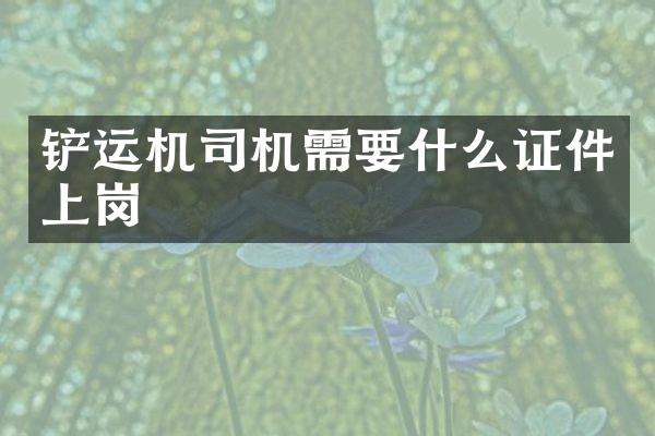 铲运机司机需要什么证件上岗