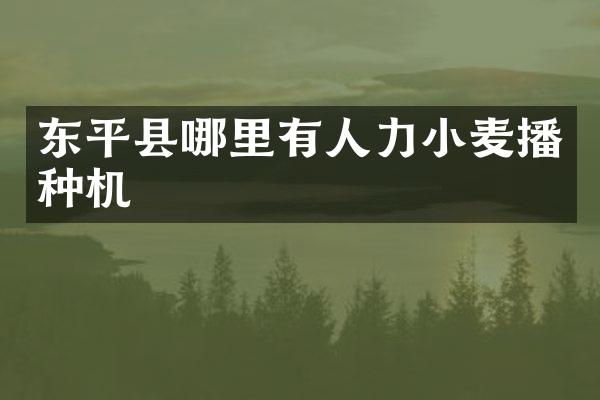 东平县哪里有人力小麦播种机