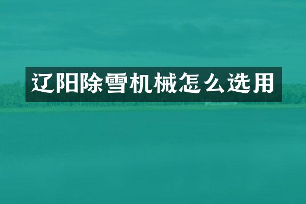 辽阳除雪机械怎么选用