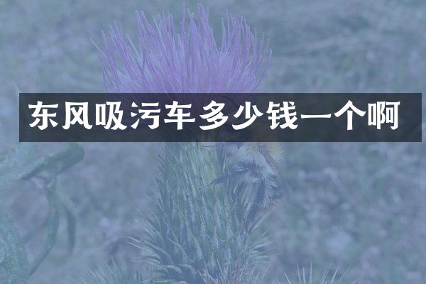 东风吸污车多少钱一个啊
