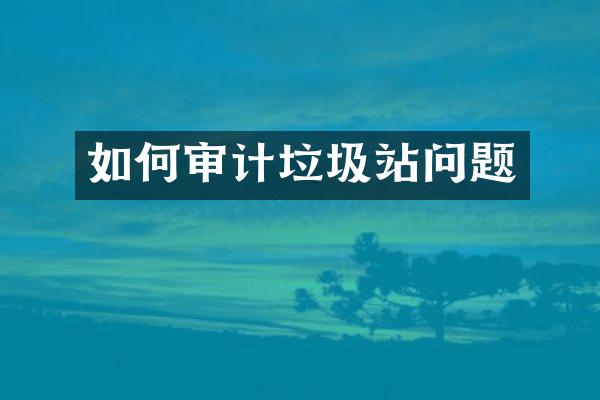 如何审计垃圾站问题