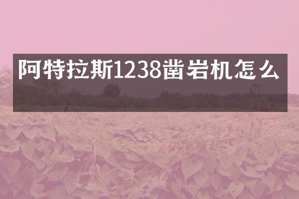 阿特拉斯1238凿岩机怎么治