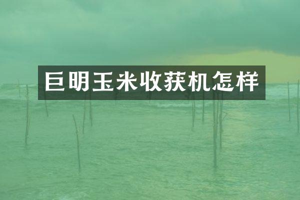 巨明玉米收获机怎样