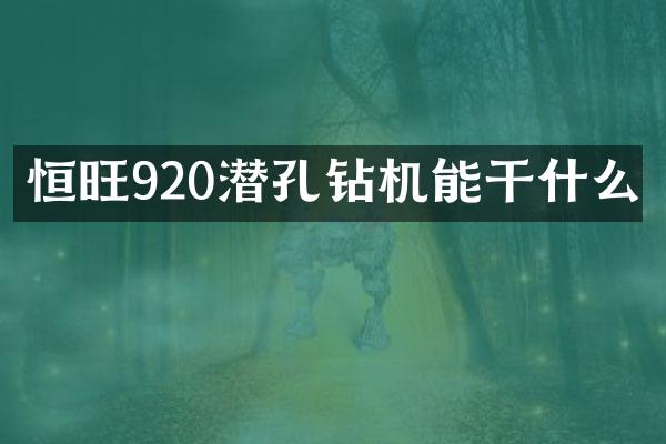 恒旺920潜孔钻机能干什么