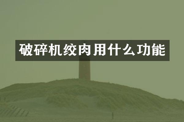 破碎机绞肉用什么功能