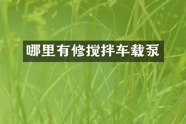 哪里有修搅拌车载泵