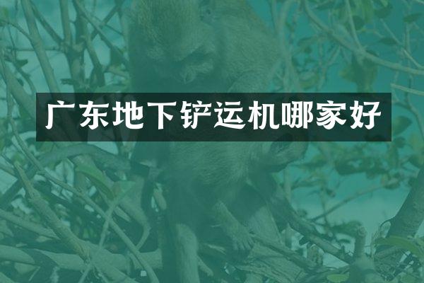 广东地下铲运机哪家好