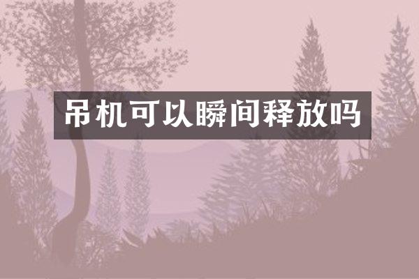 吊机可以瞬间释放吗