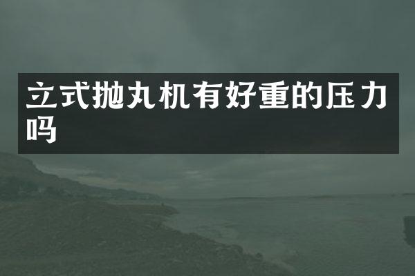 立式抛丸机有好重的压力吗