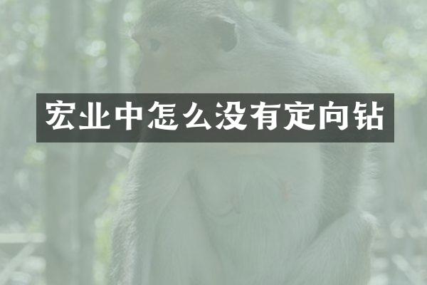 宏业中怎么没有定向钻