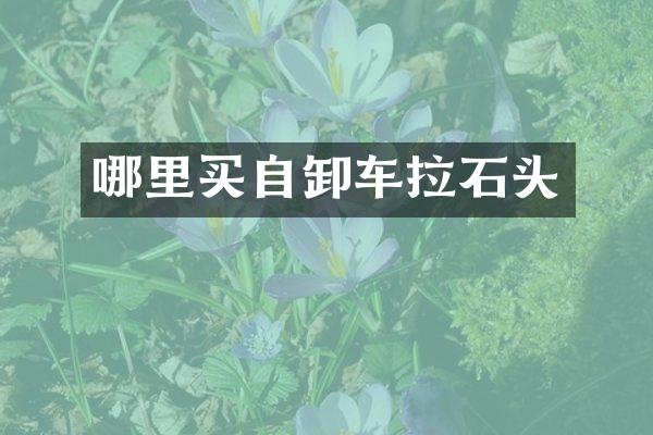 哪里买自卸车拉石头
