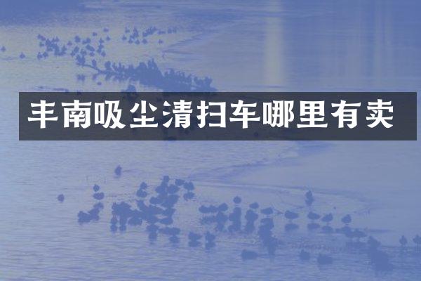 丰南吸尘清扫车哪里有卖