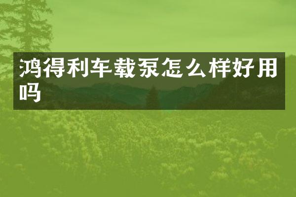 鸿得利车载泵怎么样好用吗