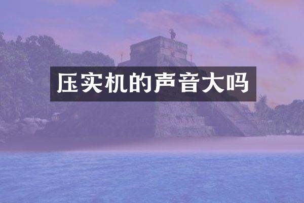 压实机的声音大吗