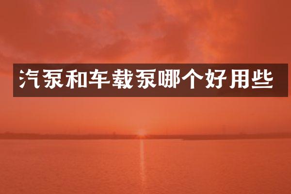 汽泵和车载泵哪个好用些