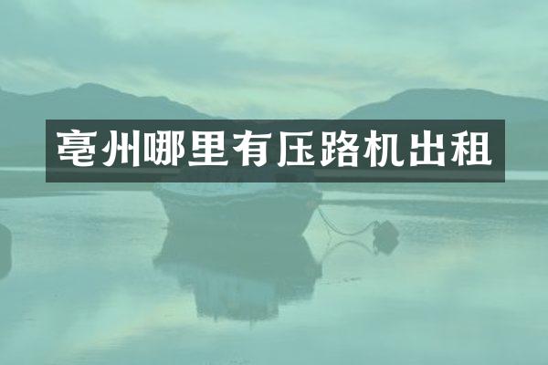 亳州哪里有压路机出租