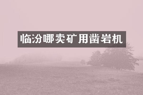 临汾哪卖矿用凿岩机