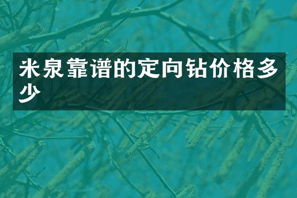 米泉靠谱的定向钻价格多少