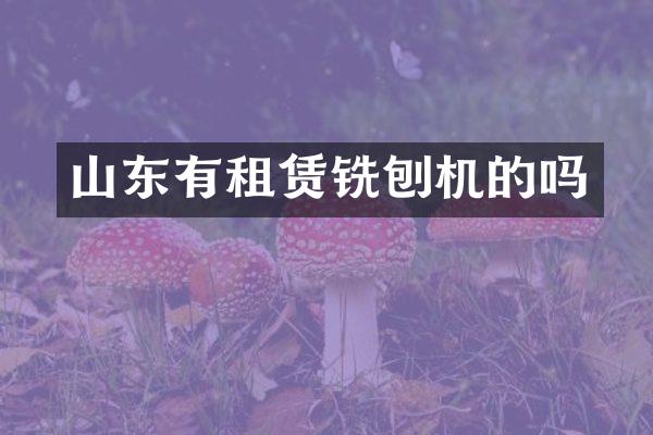 山东有租赁铣刨机的吗