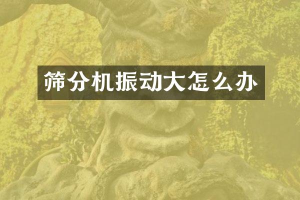 筛分机振动大怎么办