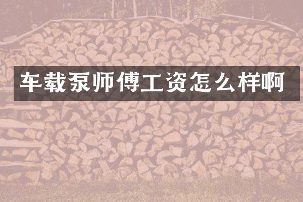 车载泵师傅工资怎么样啊