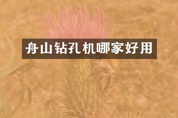 舟山钻孔机哪家好用