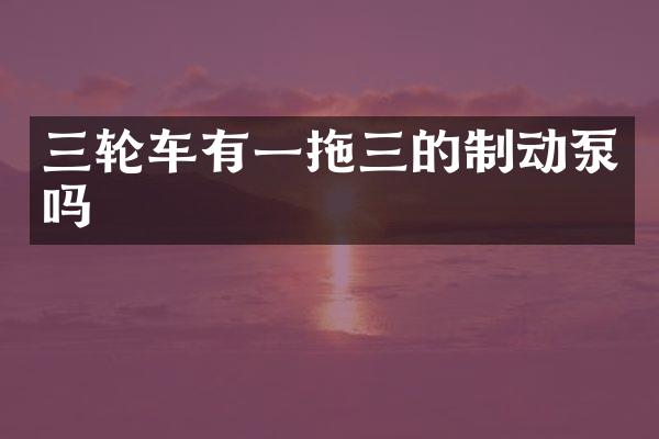 三轮车有一拖三的制动泵吗
