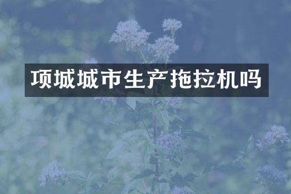 项城城市生产拖拉机吗