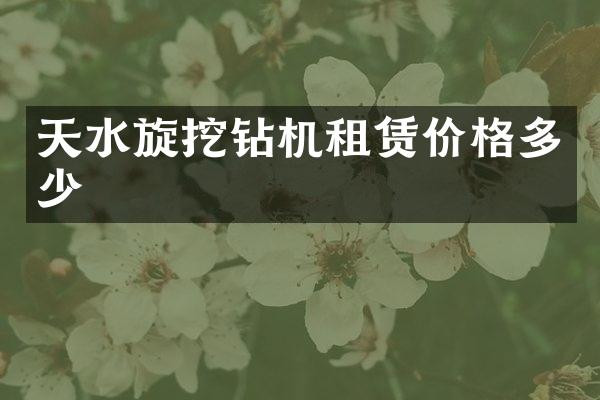 天水旋挖钻机租赁价格多少