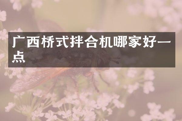 广西桥式拌合机哪家好一点