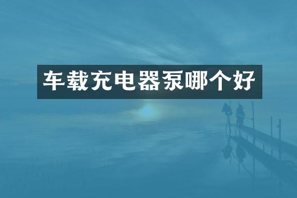 车载充电器泵哪个好