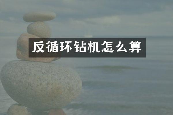反循环钻机怎么算
