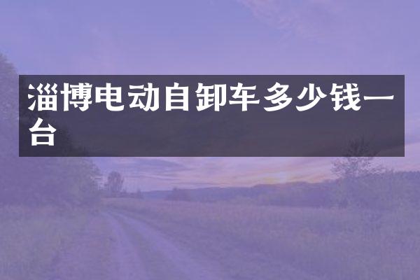 淄博电动自卸车多少钱一台