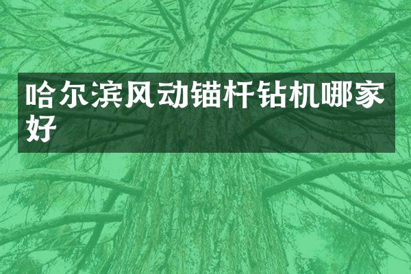 哈尔滨风动锚杆钻机哪家好