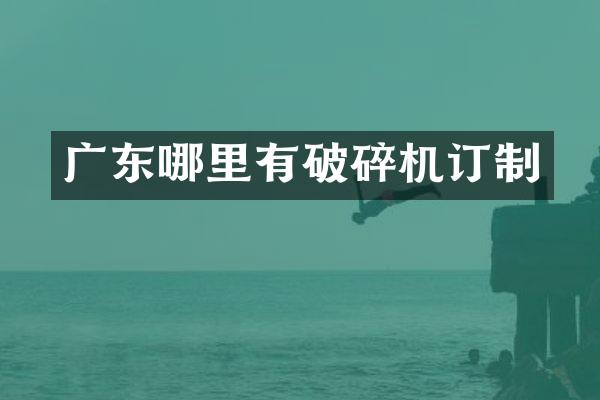 广东哪里有破碎机订制