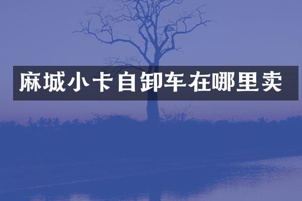 麻城小卡自卸车在哪里卖