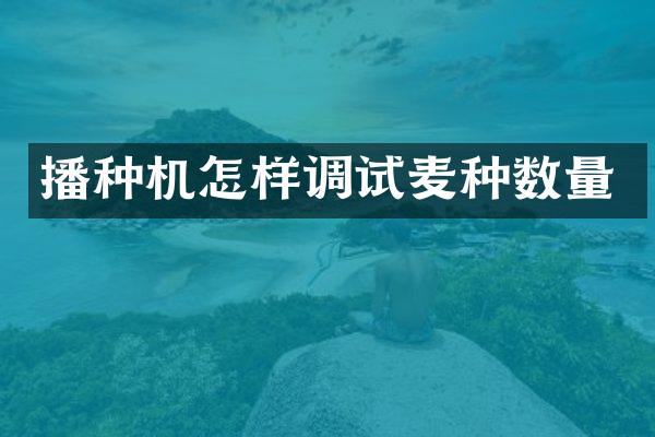 播种机怎样调试麦种数量